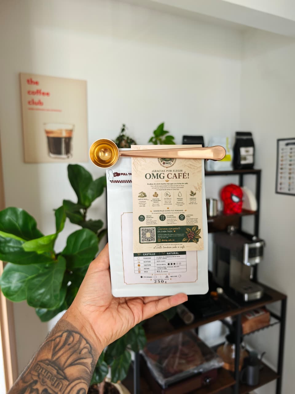 OMG Café • Lote Origen Sevilla 250g
